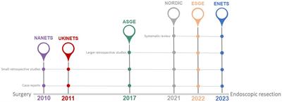 Type 3 gastric neuroendocrine neoplasms: the rising promise of conservative endoscopic management